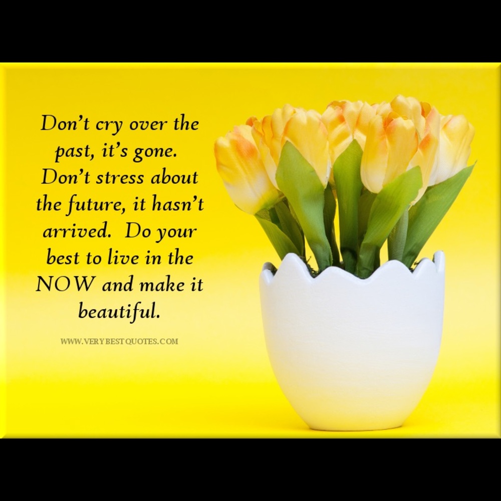 Meet your Posher, Isabella - Picture 8 of 8